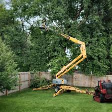 Grass Overseeding in Walnut Park, CA